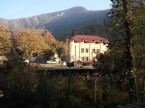 Гостиница Guesthouse in Makhuntseti  Кеда